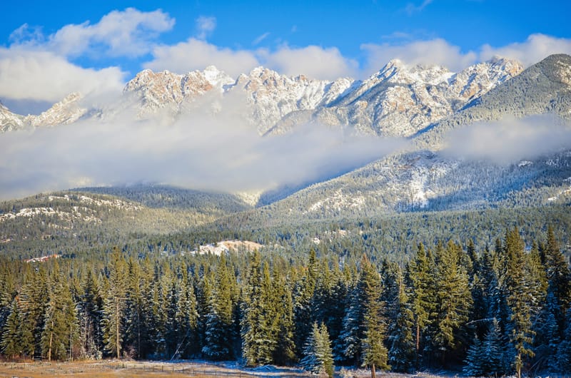 Notizie sul clima in British Columbia: l’inverno caldo batte diversi record