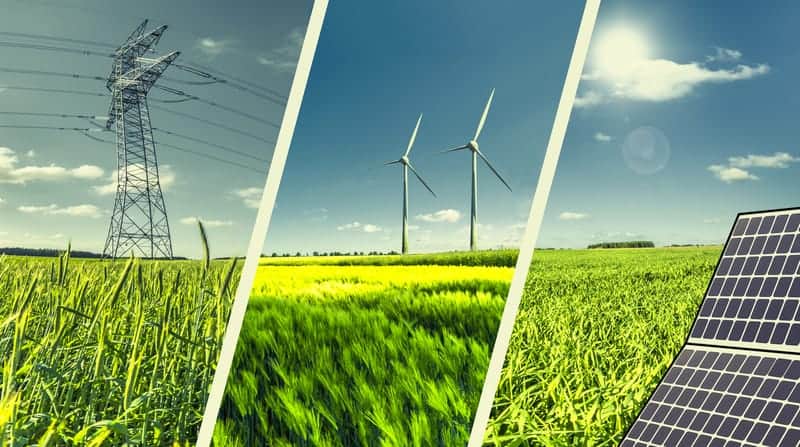 Luce tra la rovina: un anno di buone notizie sul cambiamento climatico