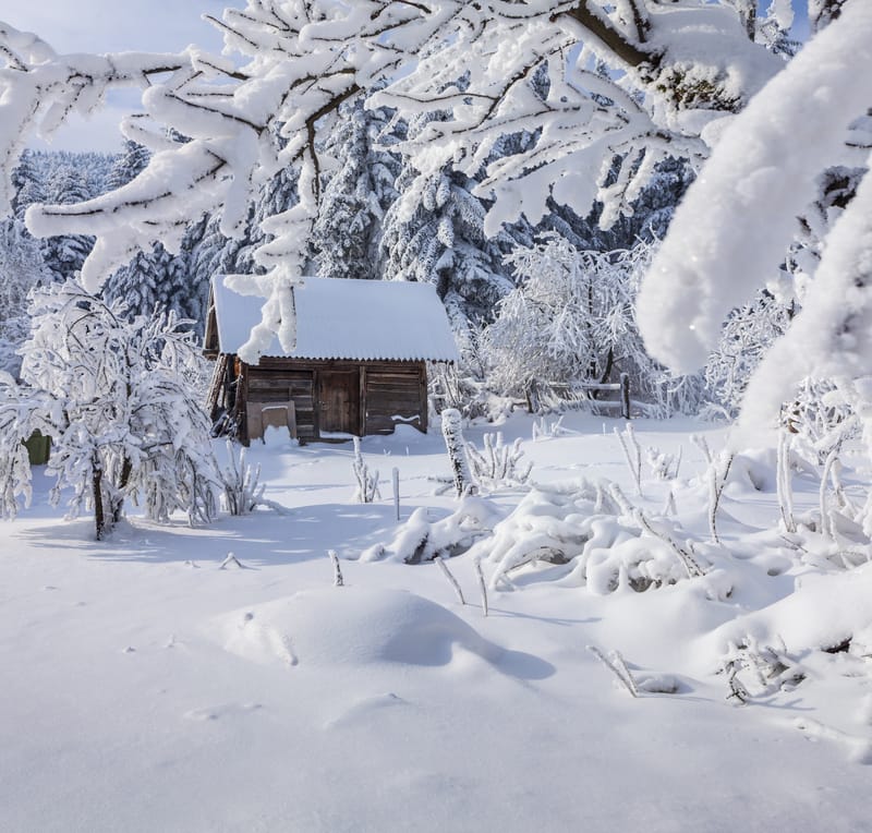 dreamstime s 37796259