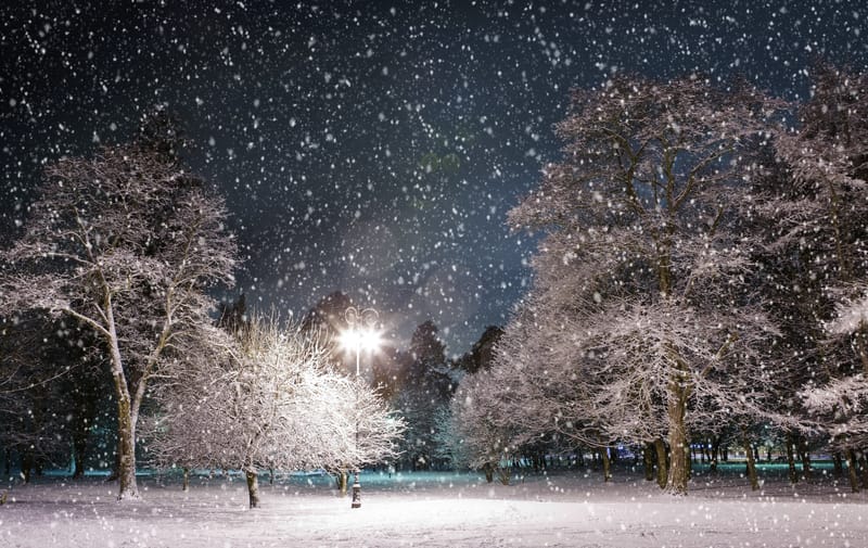 dreamstime s 7086349