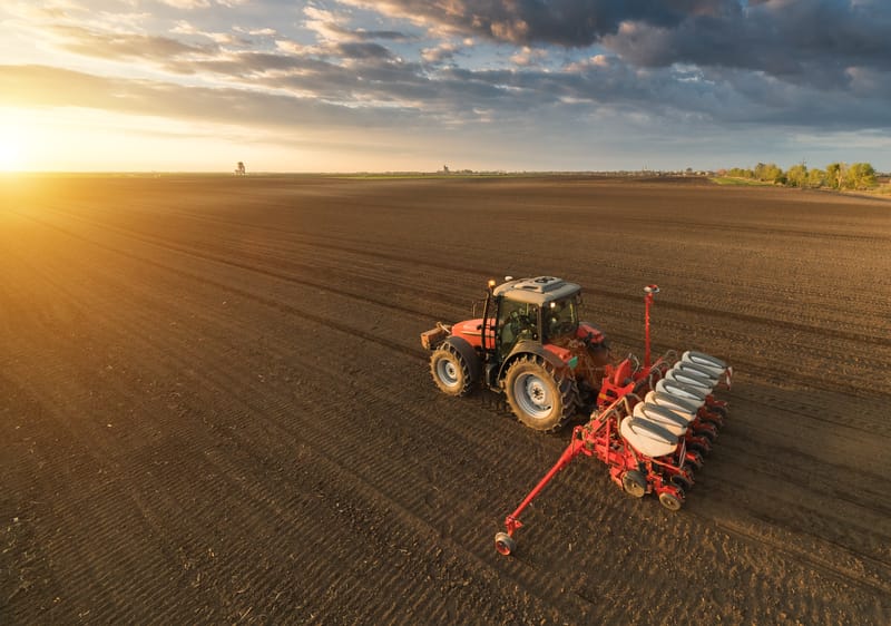 Non ignorare l’attacco del cambiamento climatico alla sicurezza alimentare
