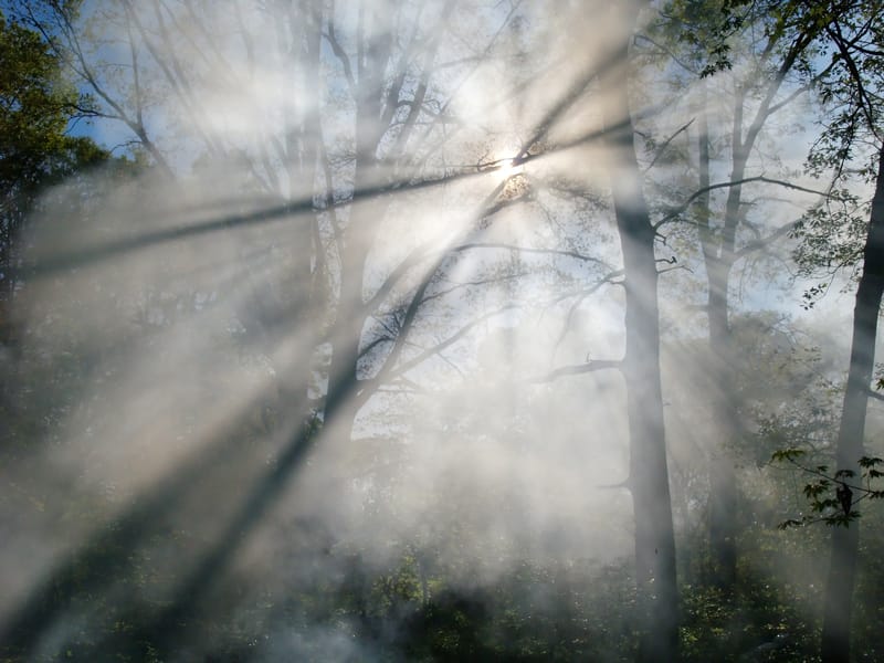 Volti di un mondo in cambiamento: foto rivelano intensità, insicurezza e disuguaglianza nel 2023