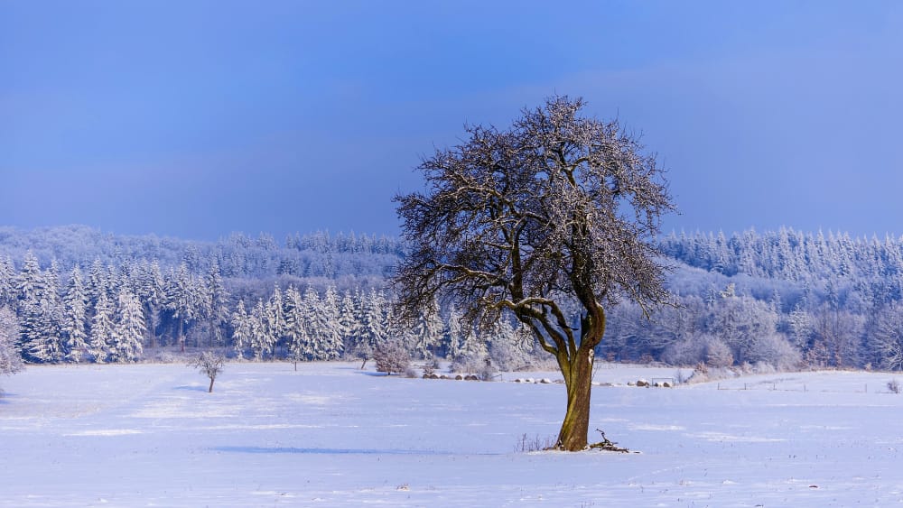 europa coperta di neve