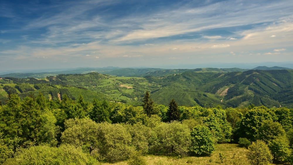 foreste montagne italiane