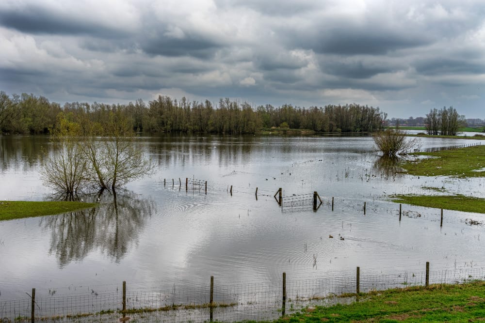 il letto del fiume waal in inverno in una giornata nuvolosa