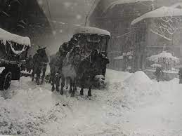 neve 1947 Naviglio