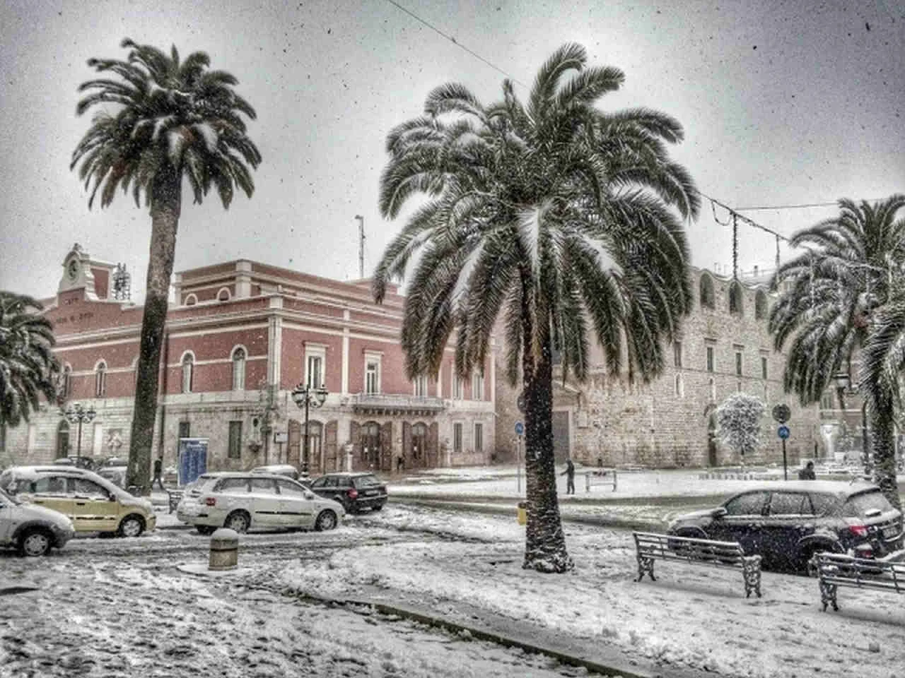 neve 2014 2