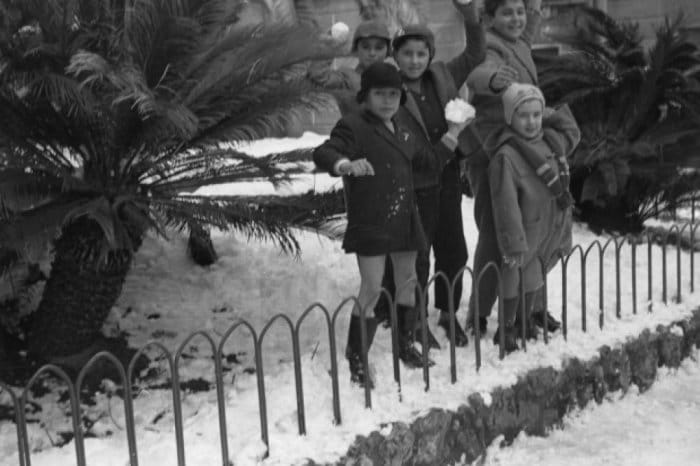 neve 56