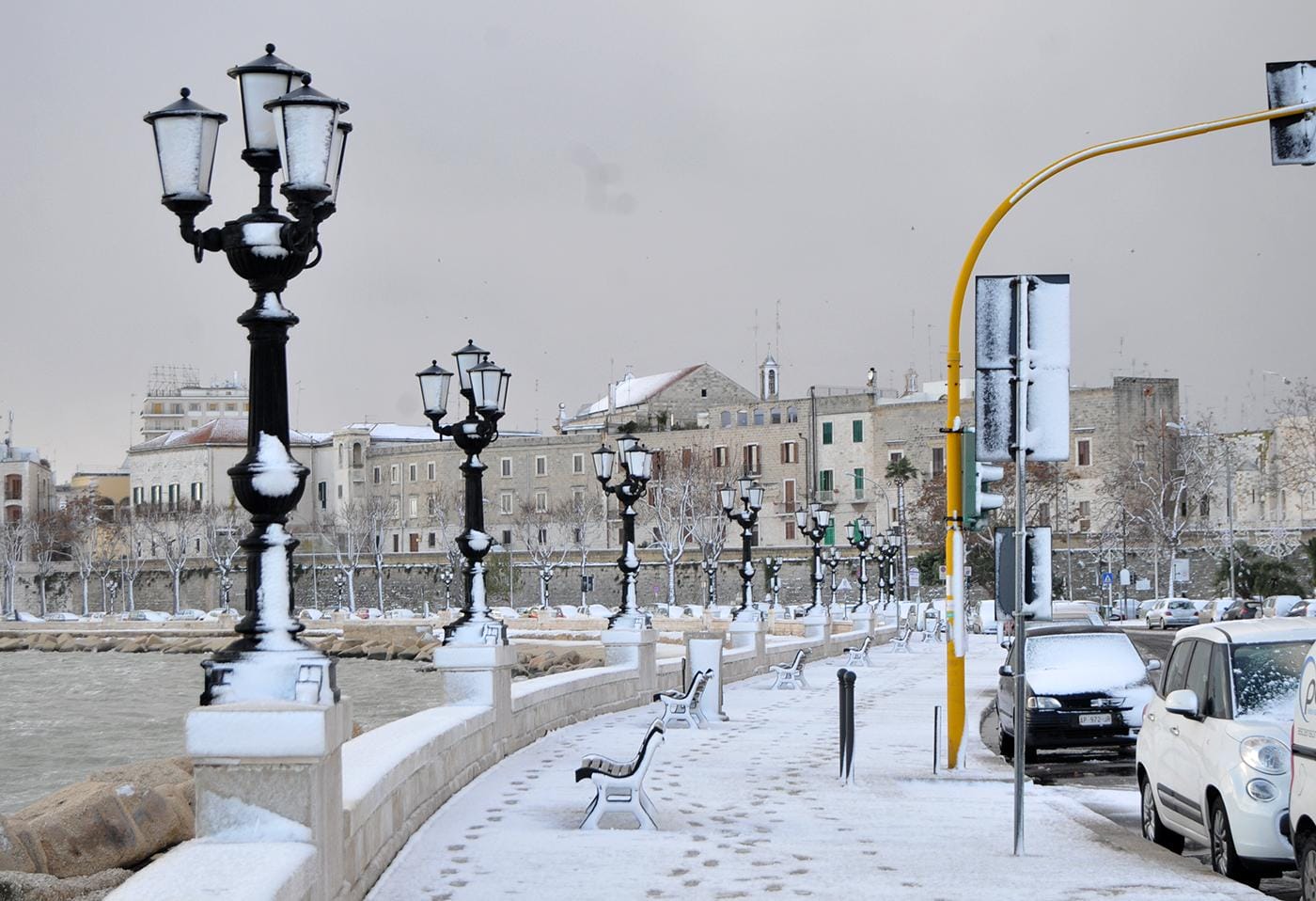 neve bari