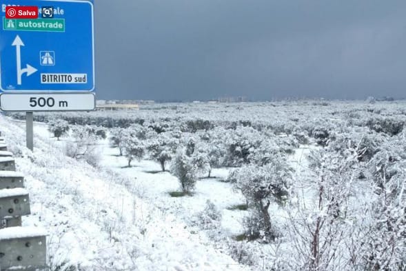 neve puglia