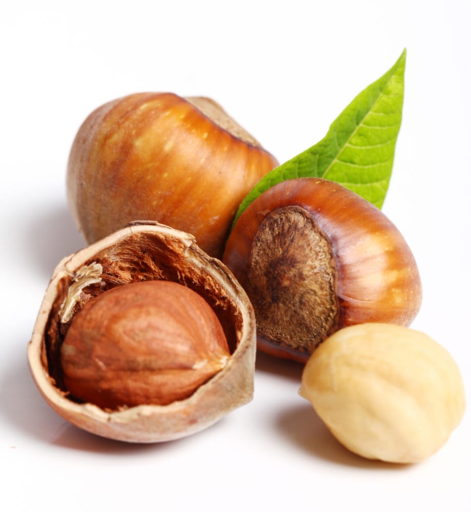 nocciole
