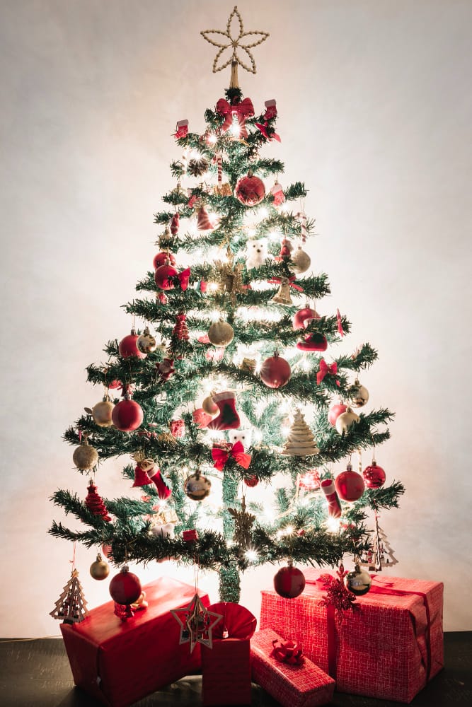 scatole presenti davanti all albero di natale