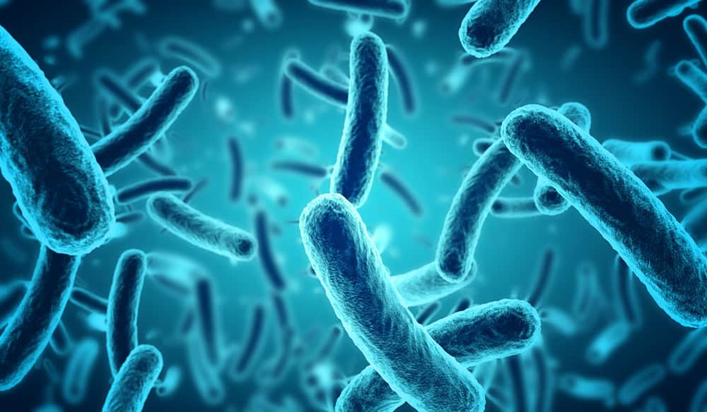 Riduzione dei microbi benefici nelle piante causata dal cambiamento climatico