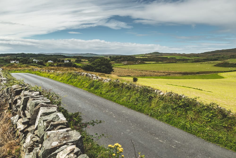 strada asfaltata e campo rustici scozia