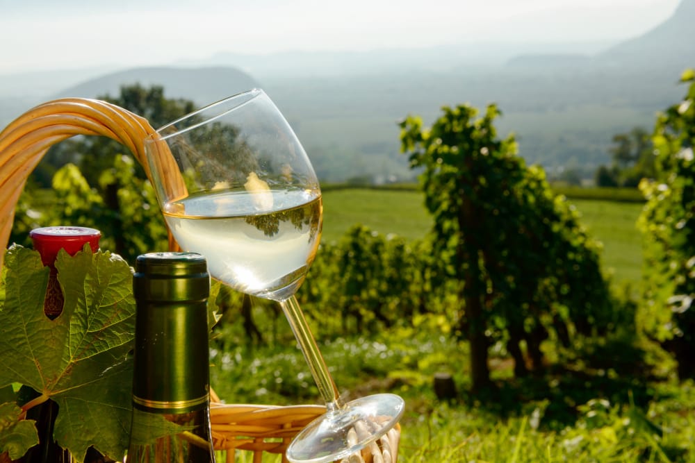 strada prosecco veneto