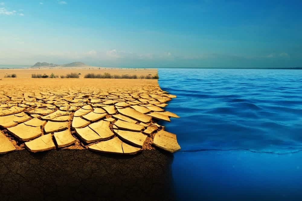 Una proposta per un futuro sostenibile: il testo unico contro il cambiamento climatico