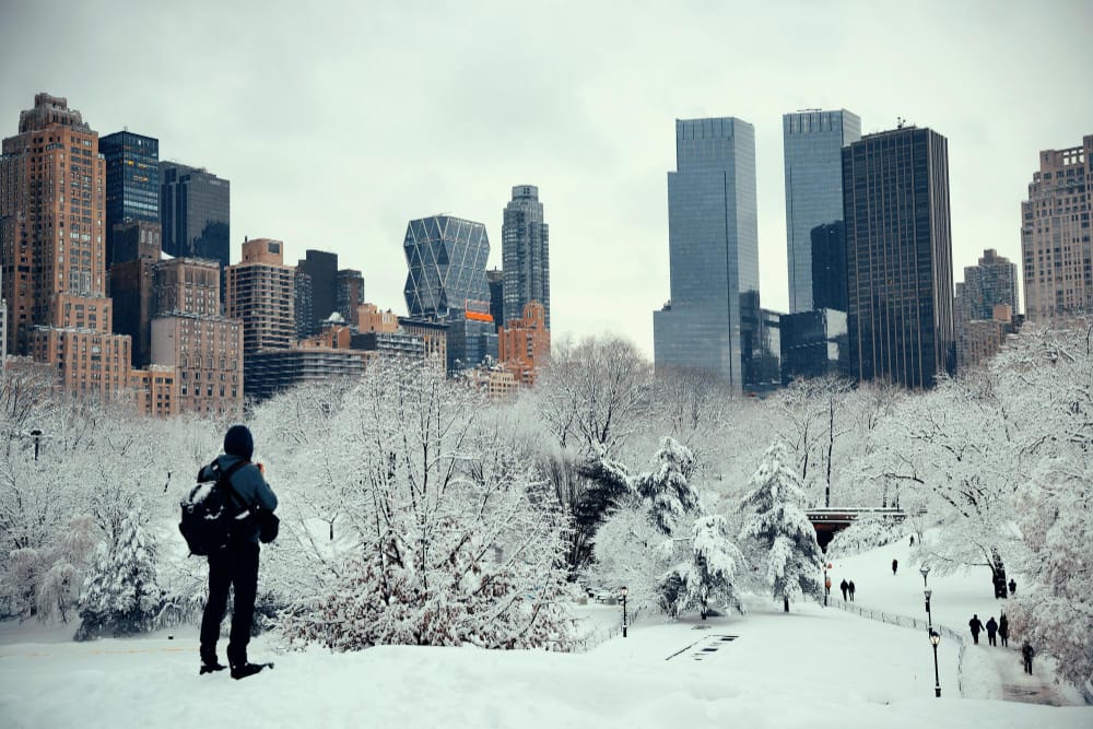 un turista che guarda central park nel centro di manhattan new york city