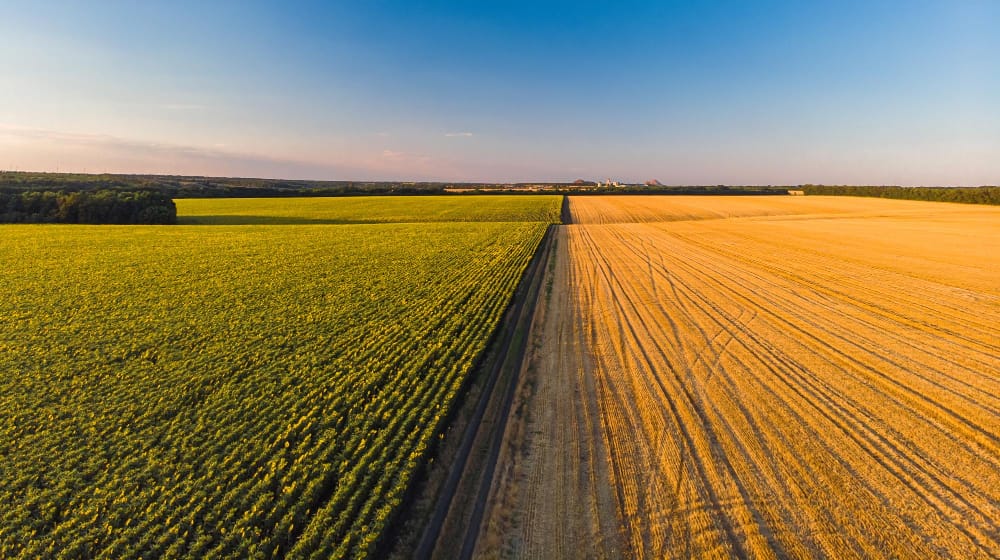 utlizzo agricolo del suolo