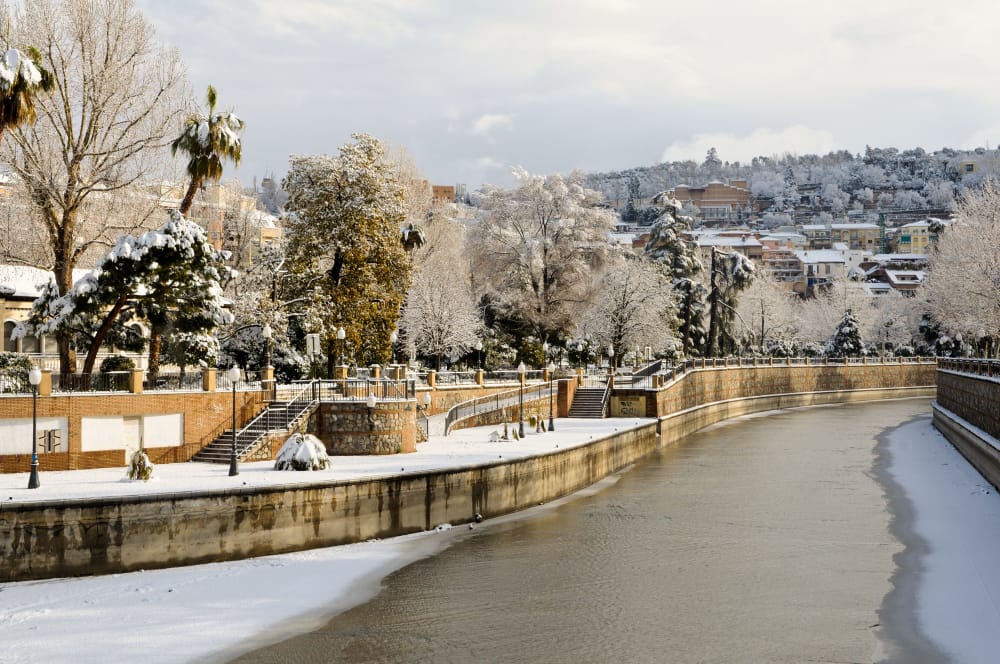 view trees with snow along river