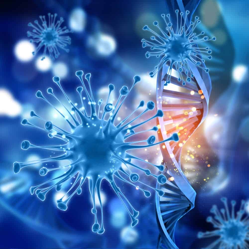 DNA antico rivela l’origine e l’evoluzione di un virus letale