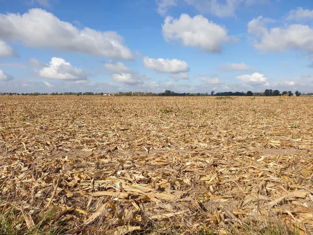 Emilia-Romagna, Coldiretti: perdite di 6 milioni di Euro a causa del cambiamento climatico