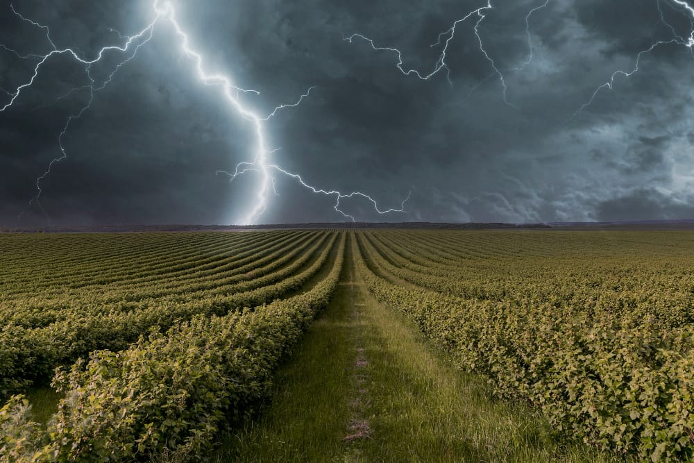 weather effects collage concept