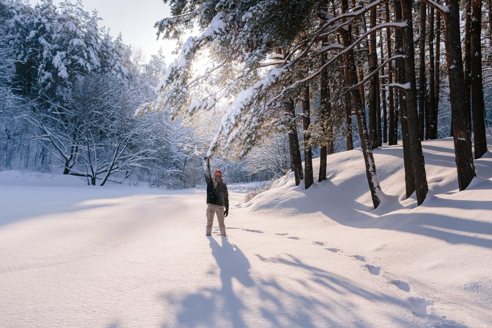 young man enjoys winter season snow covered pine forest