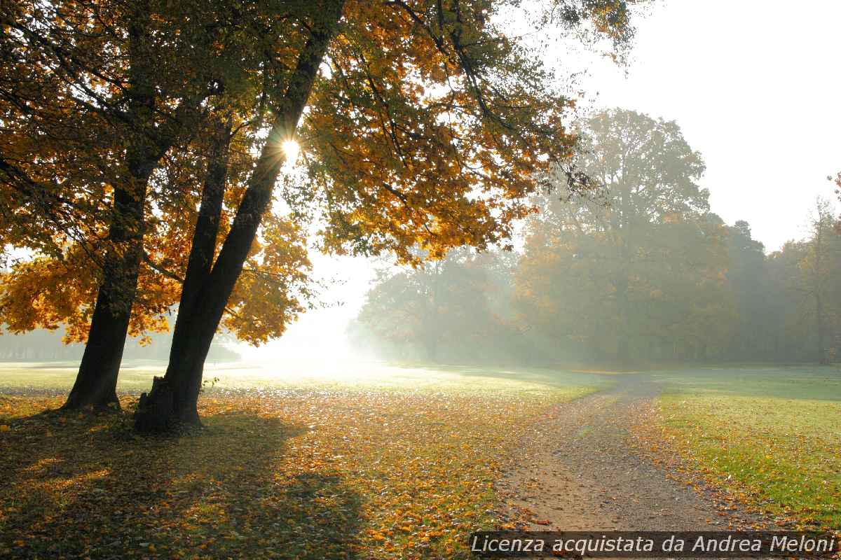 Meteo L’Aquila: nuvole oggi, ma sole in arrivo!