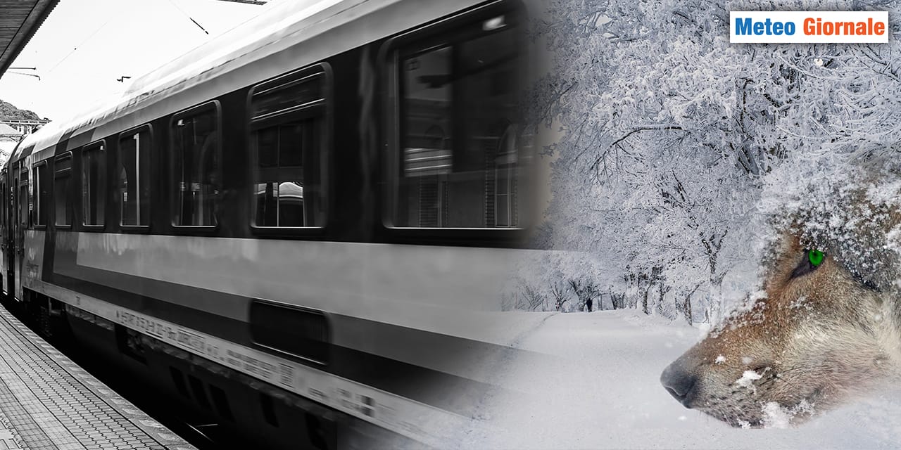 L’ultimo treno meteo dell’INVERNO, poi si resterà al palo