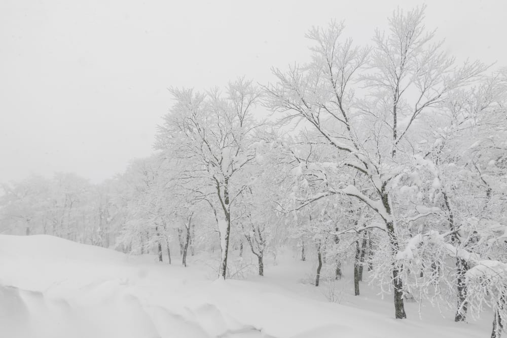 bufere.di neve canada ontario