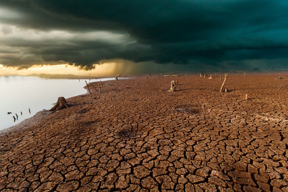 Il cambiamento climatico e l’impatto sugli ecosistemi
