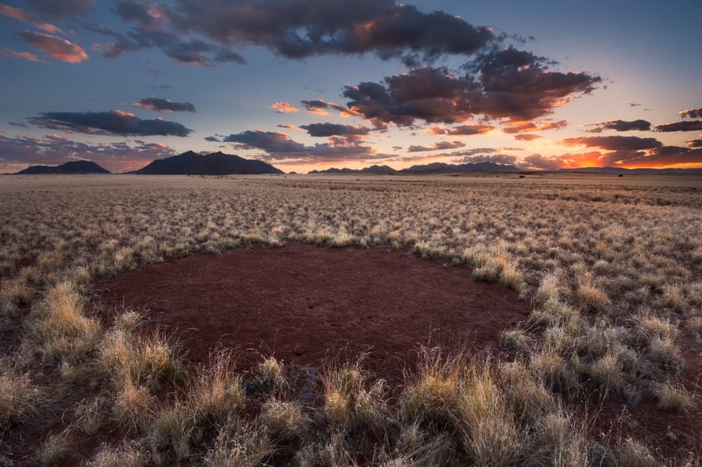 cerchi delle fate namibia