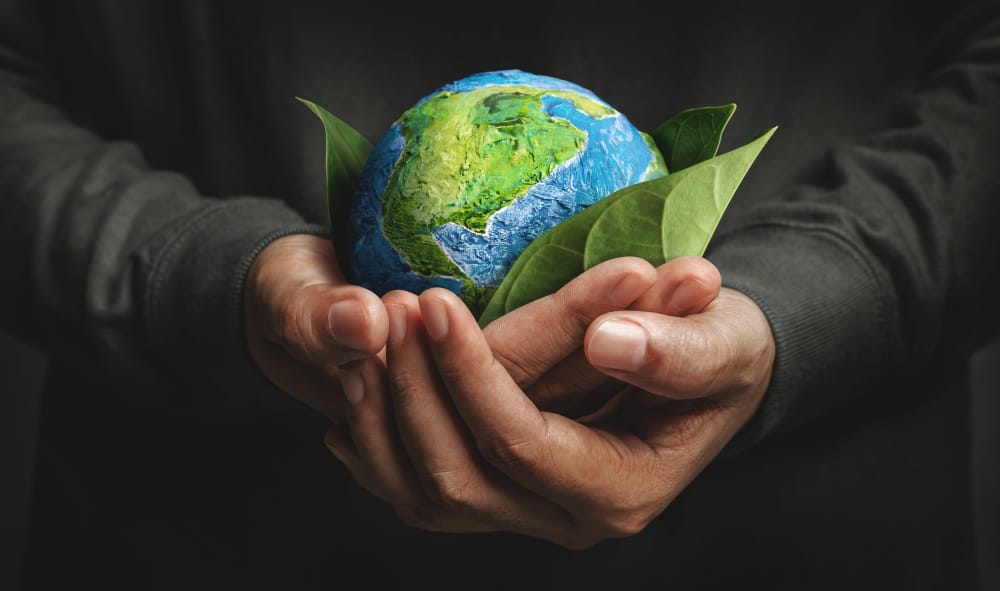 Un nuovo modello per combattere il cambiamento climatico: la proposta degli scienziati americani