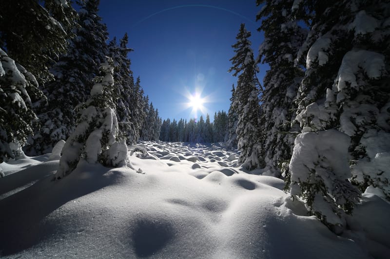 dreamstime s 11664751