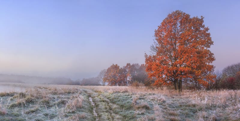 dreamstime s 122337678