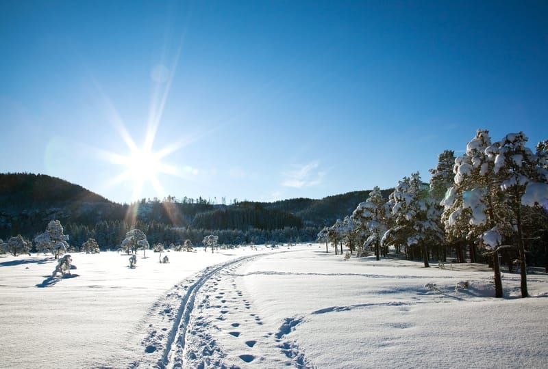 Declino degli inverni in Italia: trend meteo inarrestabile