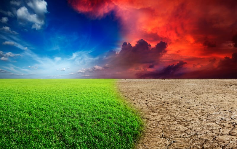 Perché le persone credono ancora alle false notizie sul cambiamento climatico
