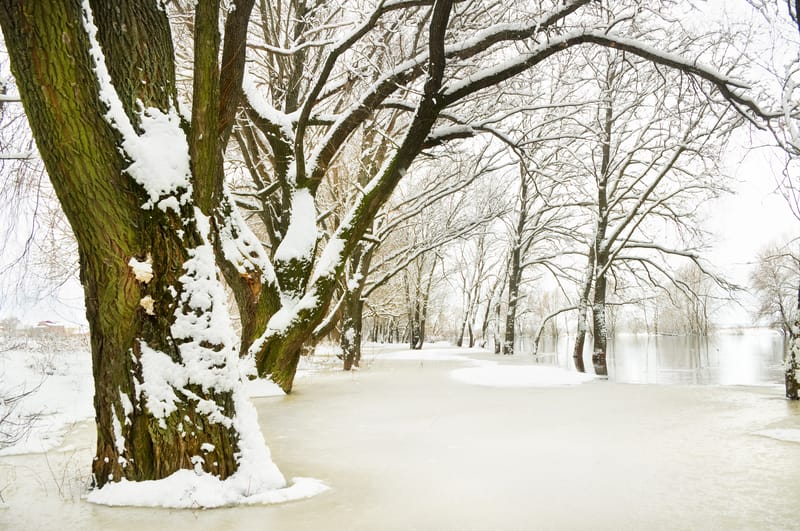 dreamstime s 29609172