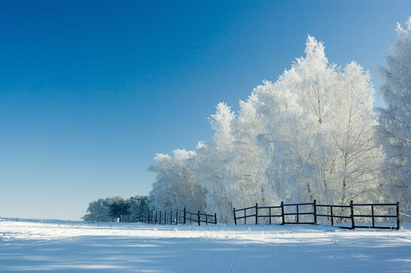 dreamstime s 3953980 1