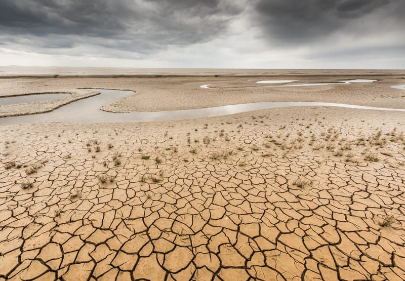 Gli scienziati pensano che l’evoluzione umana ostacoli la risoluzione del cambiamento climatico