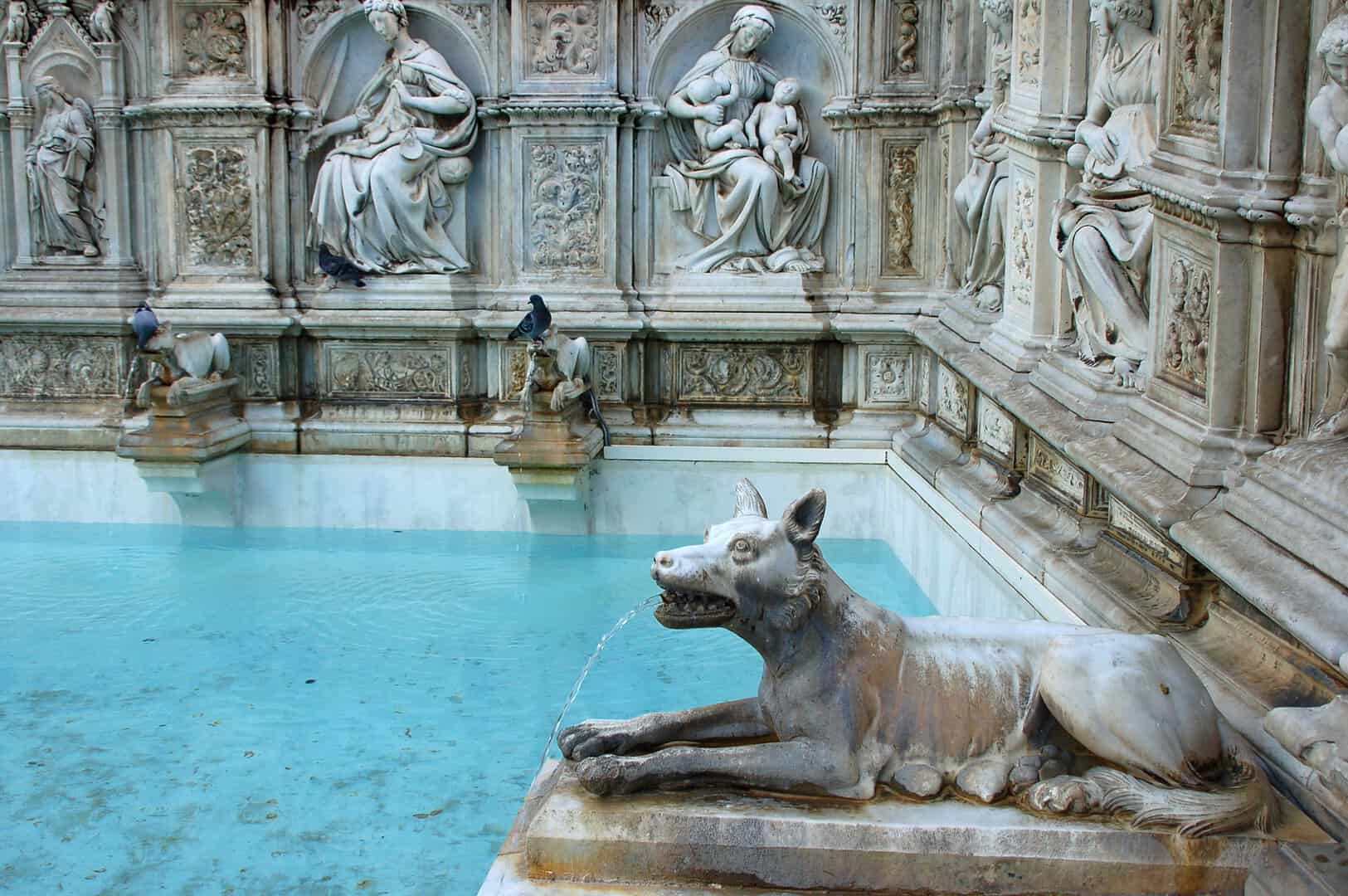 fonte gaia siena