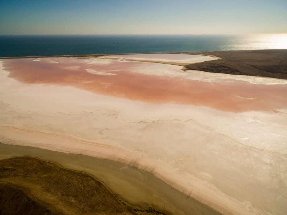 lago salato rosa in crimea