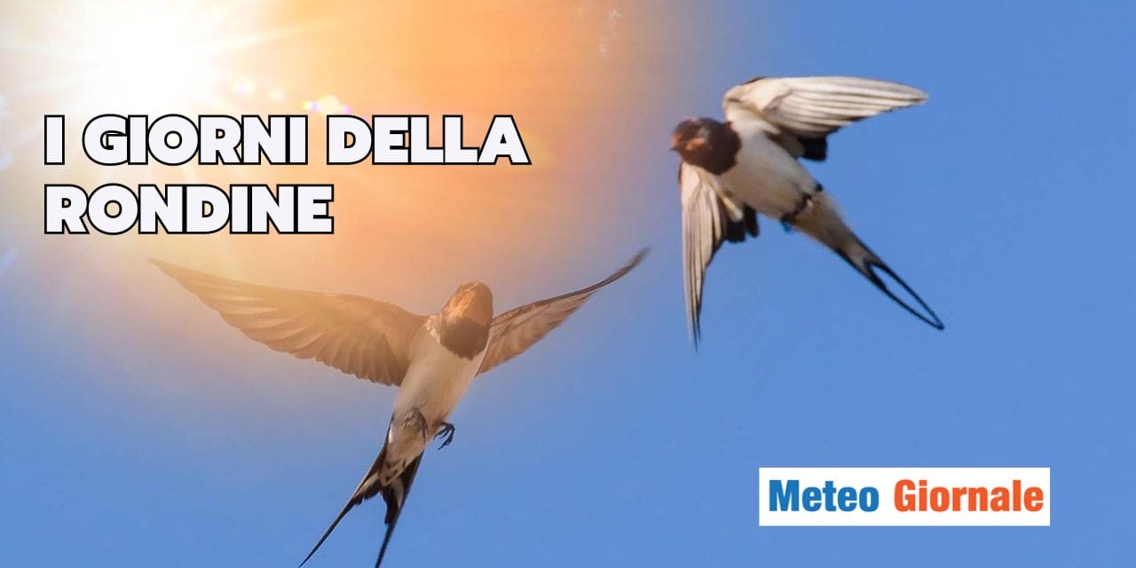 Meteo: giorni della merla? Ecco i “giorni della rondine”
