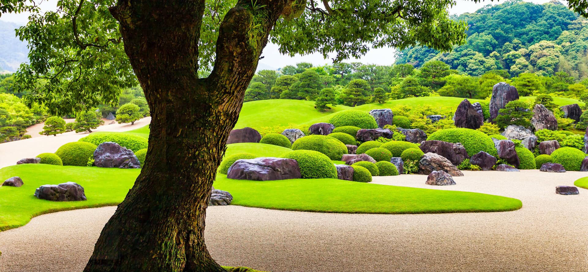 Viaggio in Giappone alla scoperta del museo-giardino: un’oasi di pace e bellezza