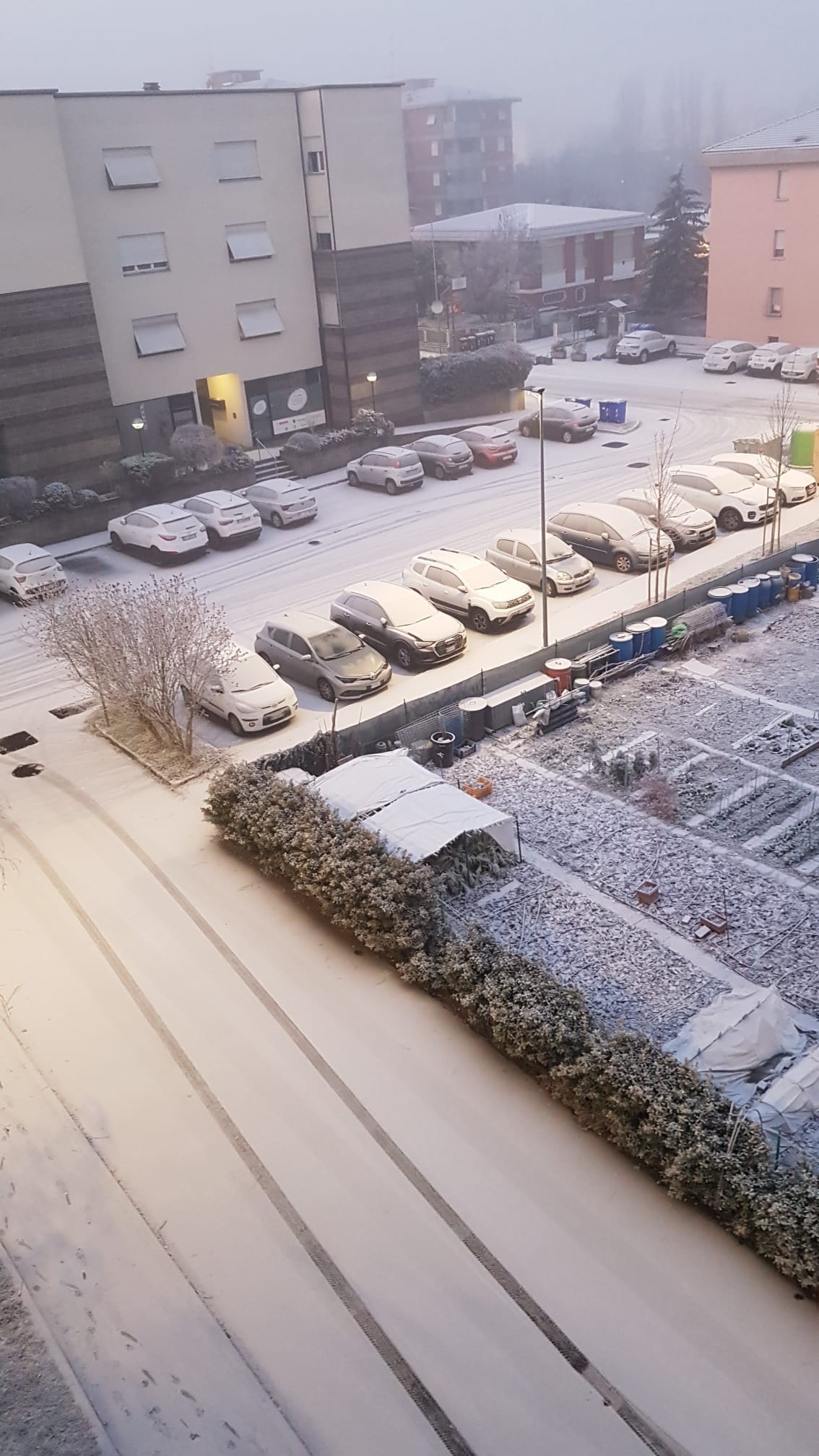 neve parma