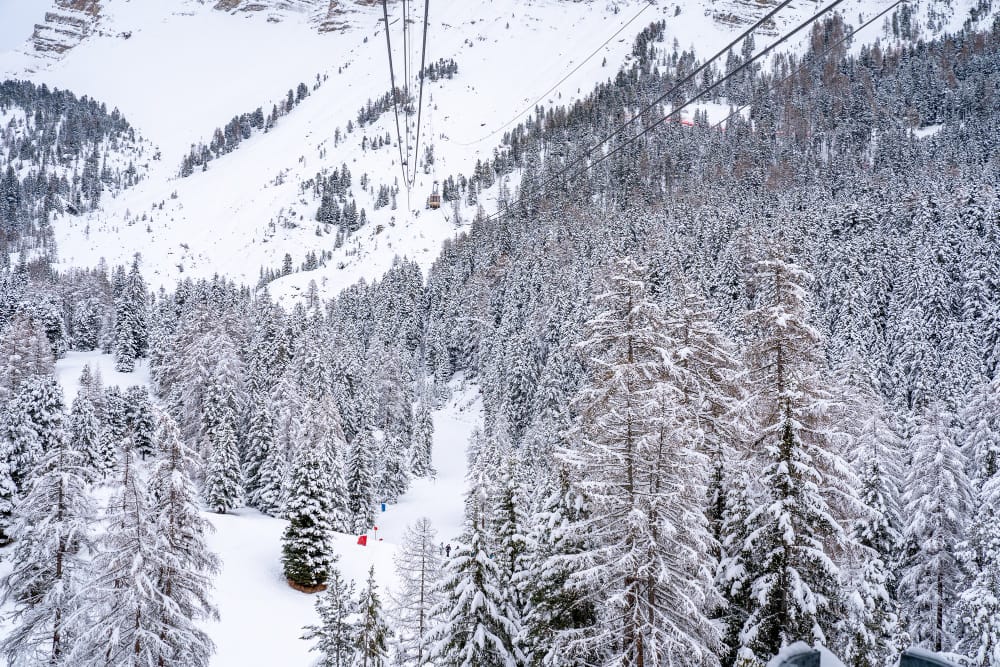 shot ropeway snow covered forest mountain