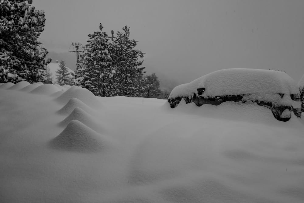 terra coperta di neve e alberi contro il cielo