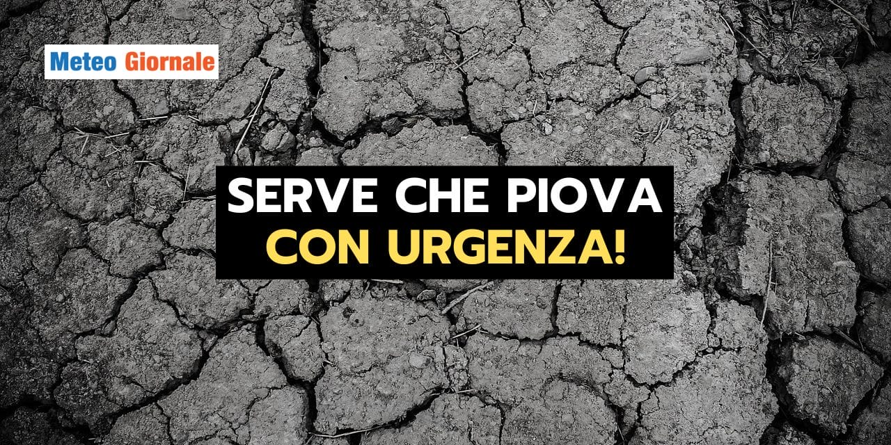 ESTATE STRANA 2024 02 05T161329.766