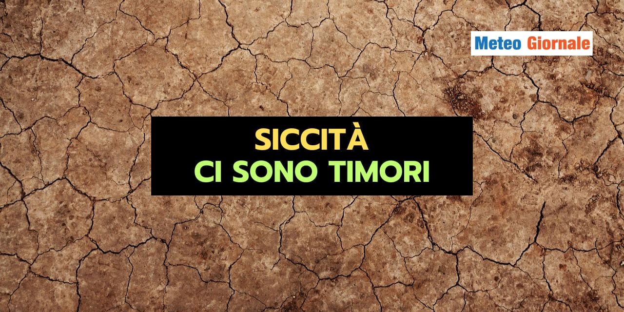 ESTATE STRANA 2024 02 05T201738.397 1