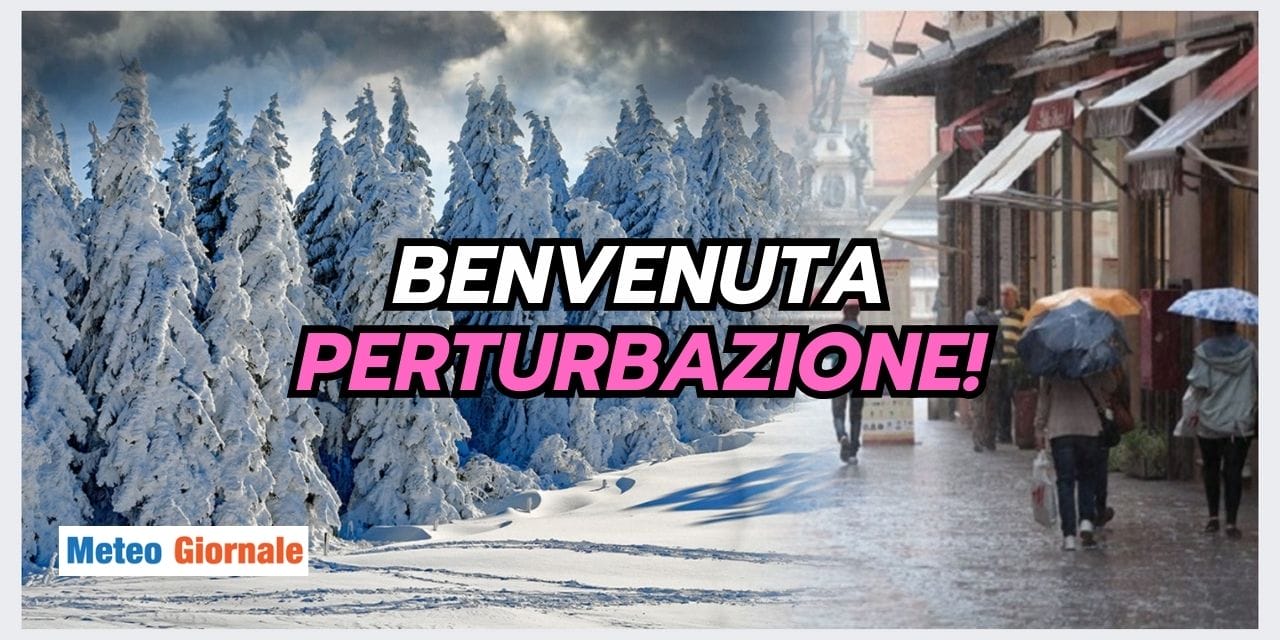 ESTATE STRANA 2024 02 08T184309.613